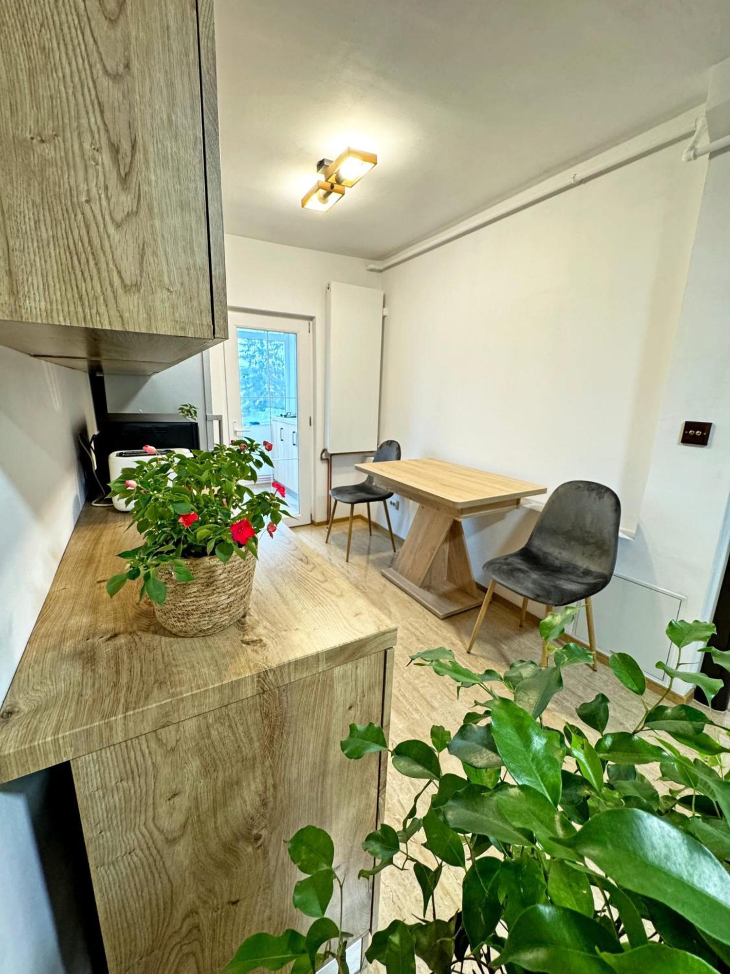 Ultracentral Apartment Târgu Jiu Eksteriør bilde